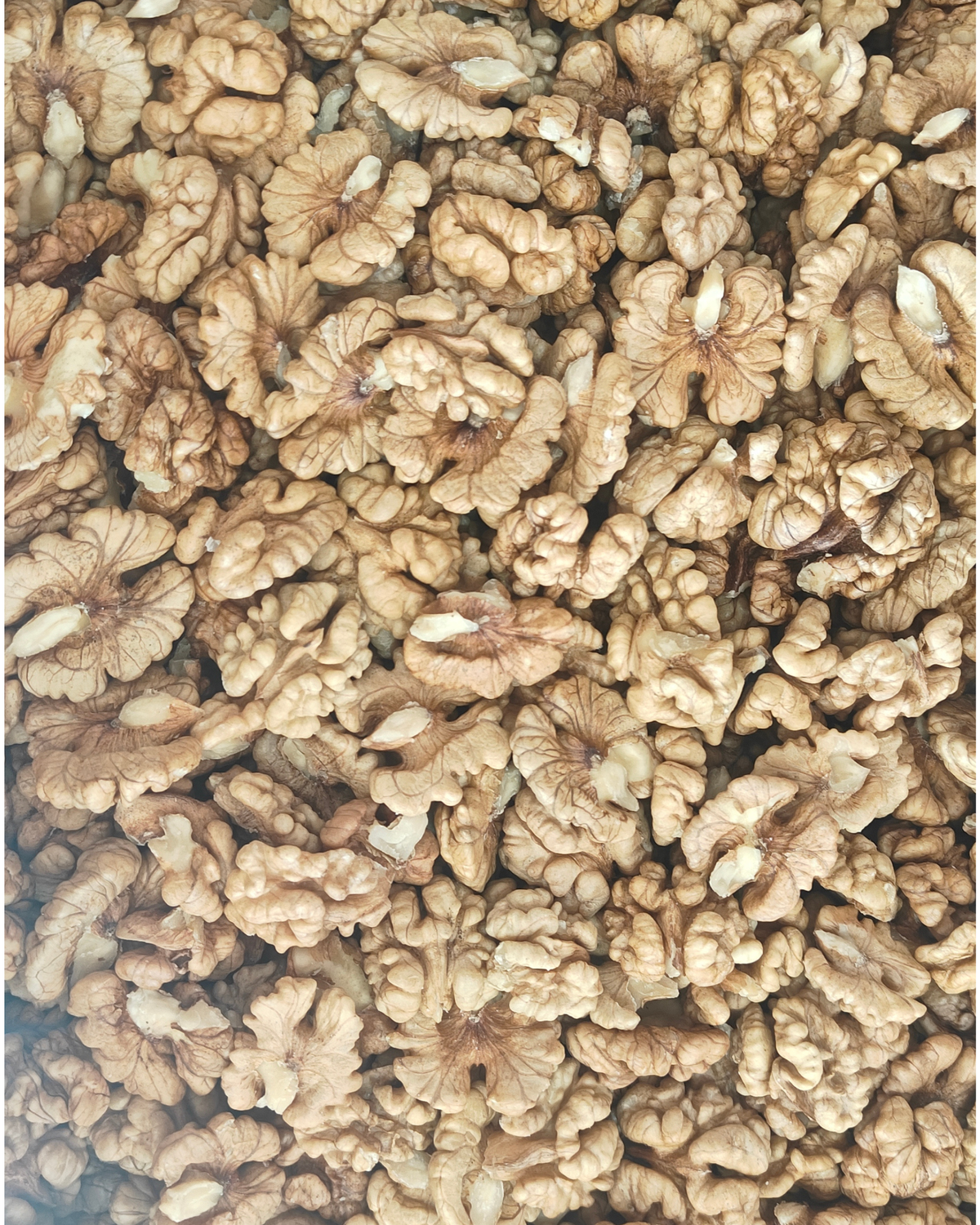 Kashmiri Walnut Kernels